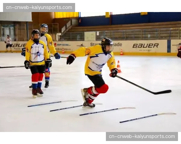 “社区冰球日”活动在纽约中央公园举行，提供免费入门课程与器材体验